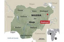 مجزرة جديدة .. مقتل 35 مسيحيا وخطف 191 إمرأة وطفل خلال صلاه القداس في بلدة مسيحية شمال نيجيريا