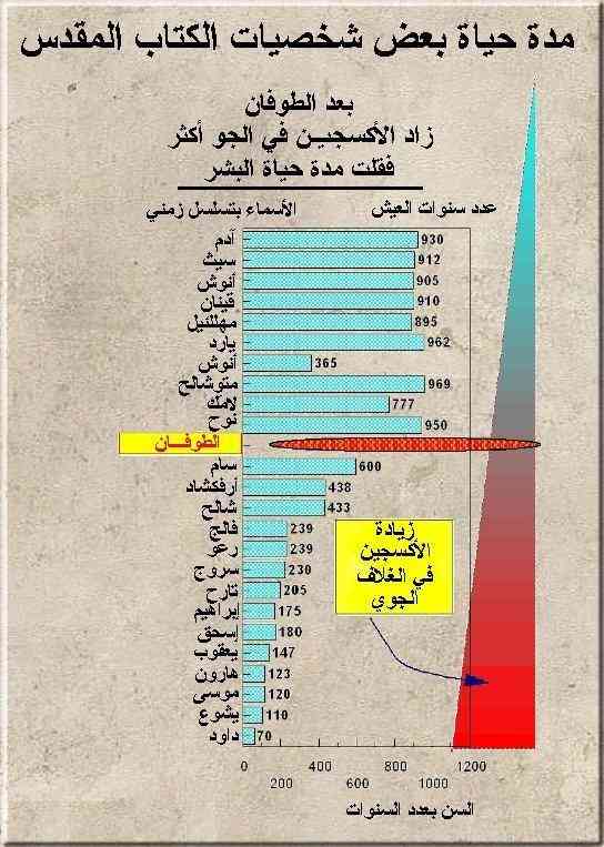 الاصحاح الثامن من سفر التكوين