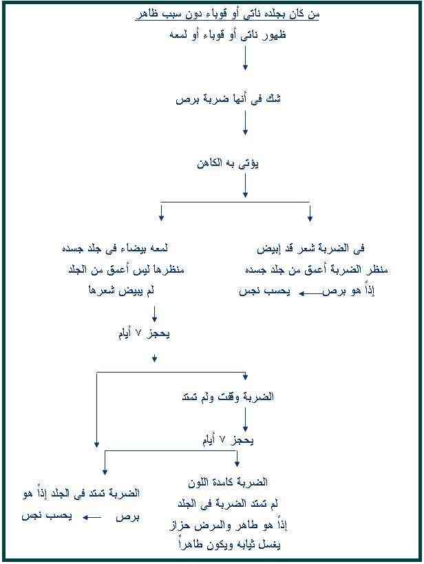 الاصحاح الثالث عشر من سفر اللاويين