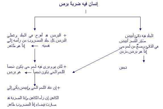 الاصحاح الثالث عشر من سفر اللاويين