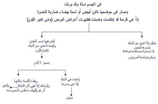 الاصحاح الثالث عشر من سفر اللاويين