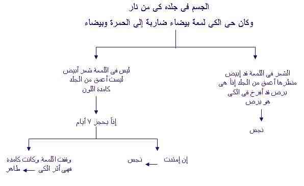 الاصحاح الثالث عشر من سفر اللاويين