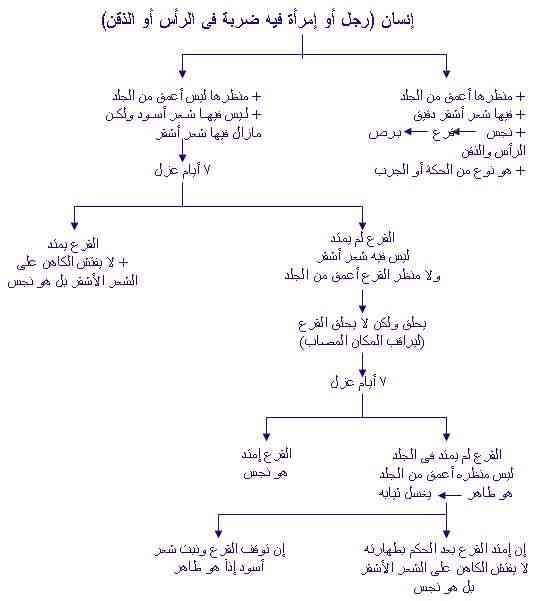 الاصحاح الثالث عشر من سفر اللاويين