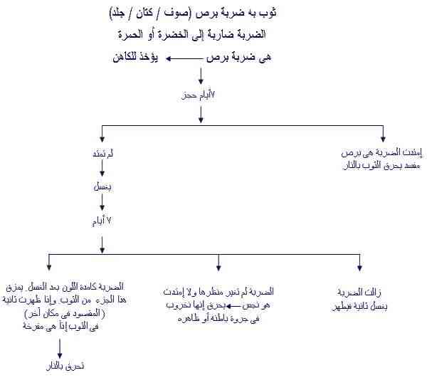 الاصحاح الثالث عشر من سفر اللاويين