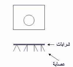 الاصحاح الخامس عشر من سفر العدد