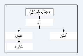 الاصحاح الثامن من سفر أخبار الأيام الأول