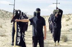 "بيت المقدس" يقتل مواطنا قبطيا في العريش