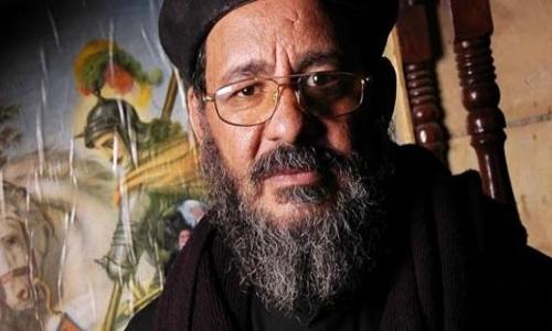 القمص عبد المسيح بسيط: استقبال أقباط المهجر للسيسي عمل وطني