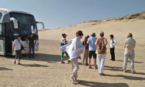 مسار رحلة العائلة المقدسة بالمنيا يستقبل وفد سياحي من المكسيك وسويسرا.. صور