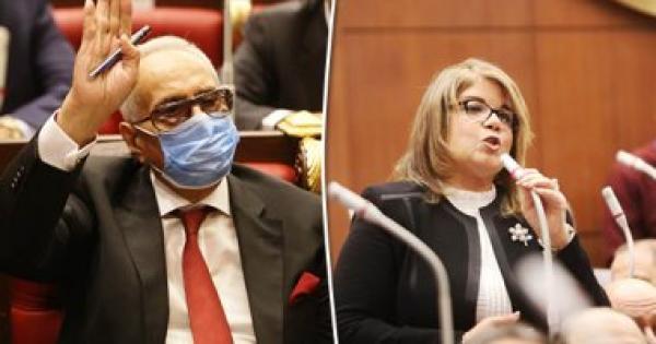 رسميا.. فوز المستشار بهاء أبو شقة والنائبة فيبى فوزى بمقعدى وكالة مجلس الشيوخ