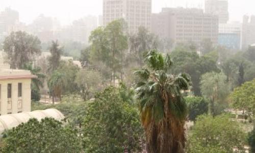 غدا.. ارتفاع آخر بحرارة الجو وشبورة بأغلب الأنحاء والعظمى بالقاهرة 25 درجة غدا.. ارتفاع آخر بحرارة الجو وشبورة بأغلب الأنحاء والعظمى بالقاهرة 25 درجة
