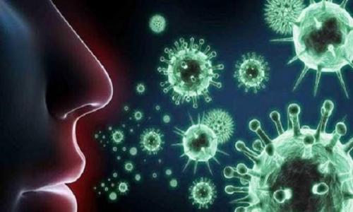 إصابة 4 ممرضات في مستشفى حميات بسيون بكورونا إصابة 4 ممرضات في مستشفى حميات بسيون بكورونا