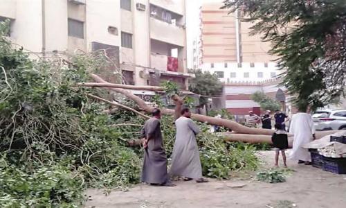 وفاة طفل وسقوط أشجار وانقطاعات كهرباء.. نتائج موجة الطقس السيئ في الصعيد وفاة طفل وسقوط أشجار وانقطاعات كهرباء.. نتائج موجة الطقس السيئ في الصعيد