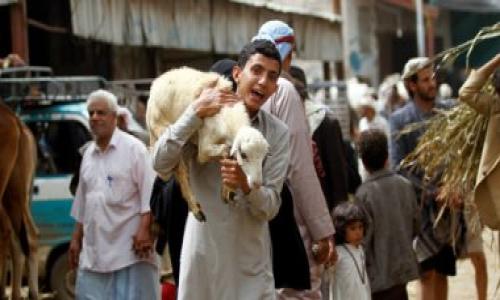 شعب واحد .. مسيحى يشترى صك أضحية العيد فى كفر الشيخ لمساعدة الفقراء شعب واحد .. مسيحى يشترى صك أضحية العيد فى كفر الشيخ لمساعدة الفقراء
