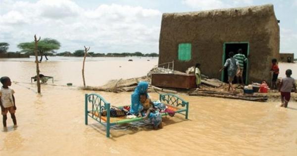 خسائر موجعة.. السودان: تضرر 56 ألف منزل بسبب فيضان النيل خسائر موجعة.. السودان: تضرر 56 ألف منزل بسبب فيضان النيل