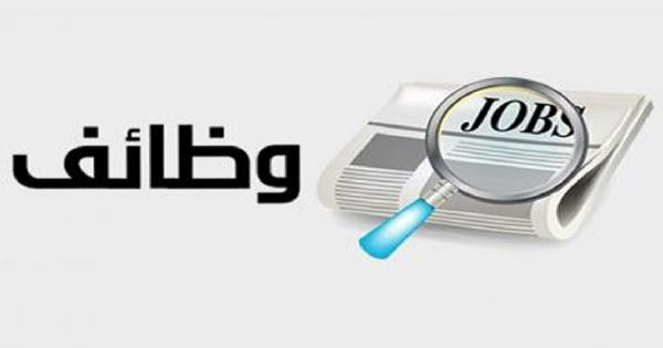 وزارة الشباب والرياضة تعلن عن ظائف شاغرة لجميع المؤهلات بمرتبات مجزية وفرص للترقي