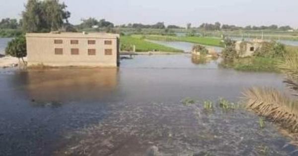بالصور.. الفيضان يصل مصر ويغرق عشرات الأفدنة بالبحيرة بالصور.. الفيضان يصل مصر ويغرق عشرات الأفدنة بالبحيرة