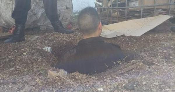 مصادر: الهاربون من سجن طنطا حفروا جدار السجن لمدة 3 أشهر.. عليهم أحكام بالإعدام والمؤبد