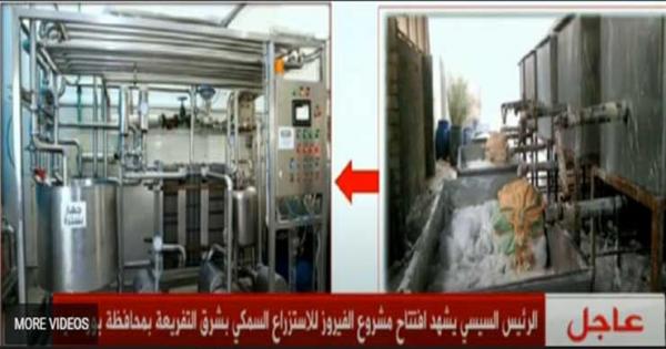 قبل وبعد.. صورة لتطوير أحد مراكز تجميع الألبان التي علَّق عليها الرئيس السيسي