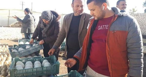 ما طلعتش جبنة.. مفاجأة في واقعة ضبط مصنع يستخدم بودرة حوائط بالمنوفية