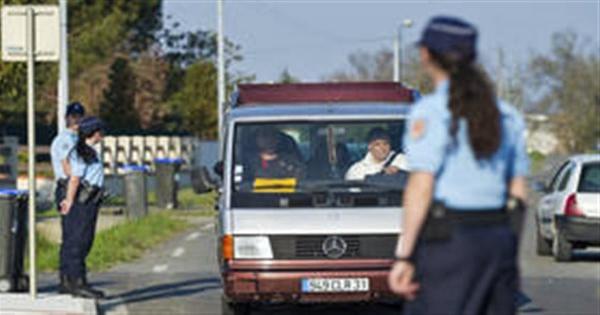 تفاصيل سرقة 3 ملايين دينار جزائري بالاستعانة بالقطط