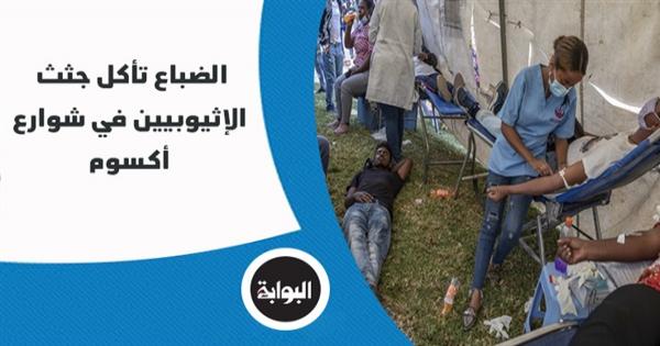 الضباع تأكل جثث الإثيوبيين في شوارع أكسوم.. شماس بالكنيسة الأرثوذكسية يروى تفاصيل أكثر المذابح دموية.. ومقابر جماعية لدفن الجثامين