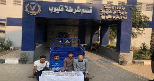 عصابة «خطف موبايلات وشنط» تسقط في «قليوب»: اعترفوا بـ«خطة تضليل المارة»