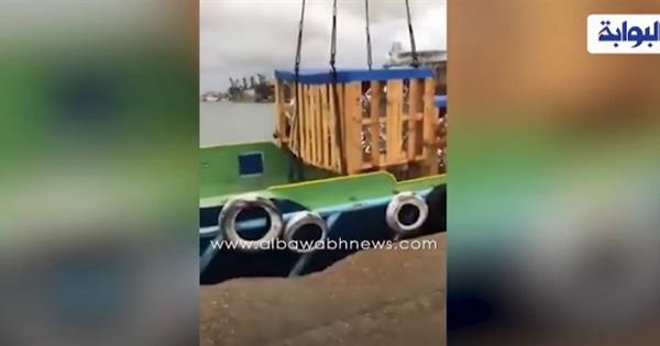 استمرار جهود البحث عن ضحايا «لنش بورسعيد» الغارق