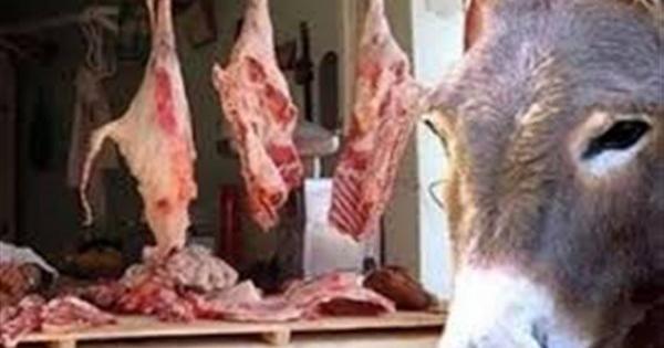 حتى لا تنخدع .. طريقة معرفة لحم الحمير من لحوم الأضاحي