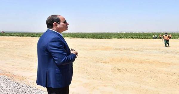 كل ما تريد معرفته عن المشروع العملاق للإنتاج الزراعي المتكامل «الدلتا الجديدة»