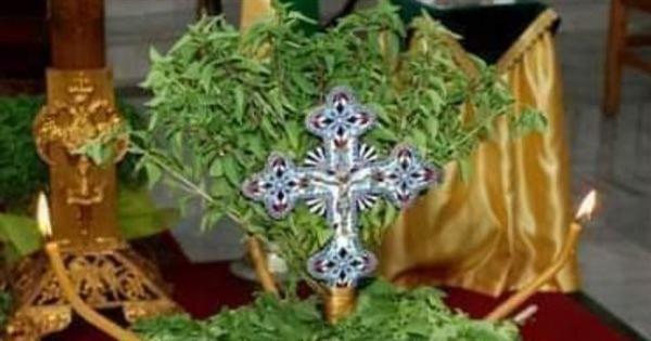 لماذا يوزع نبات الريحان في عيد الصليب ؟