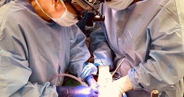 بعد أسبوعين من نقل قلب خنزير لرجل.. الأطباء ينجحون في زراعة كلية خنزير لمريض ميت دماغيا