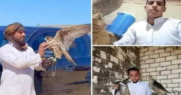 «السيارة تعطلت.. والأب دفن نجله ثم لحق به».. تفاصيل جديدة عن رحلة صيادي الصقور بمطروح