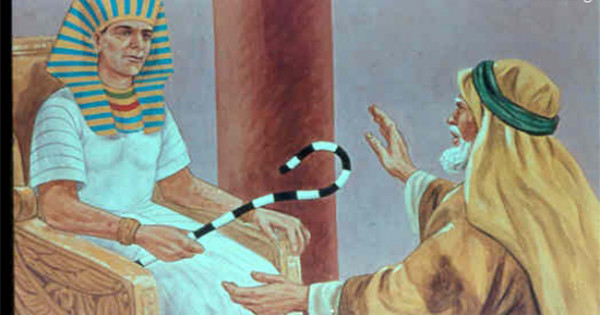 من اكتر الشخصيات اللي بكت ف الكتاب المقدس هو "يوسف"