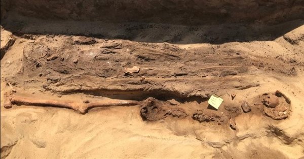 اكتشاف مقابر ومومياوات بـ ألسنة ذهبية بجبانة قويسنا الأثرية بالمنوفية | صور