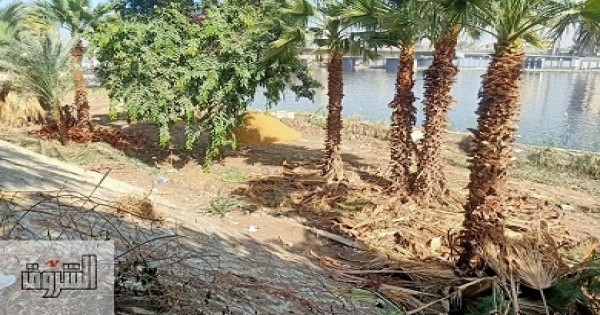 أعمال سراي الجزيرة.. ممشى أهل مصر أم جراج أم مشروع آخر؟ سكان الزمالك في حيرة