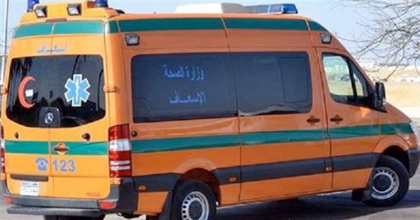 بعد 5 أيام من زفافهما.. مصرع عروسين داخل منزلهما اختناقًا بالغاز بالبحيرة - فيديو