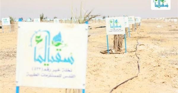 سرقوا النخل وفلوس التبرعات.. كيف استولى مسئولو سقيا الماء على 21 مليون جنيه من أموال المؤسسة؟ | تحقيقات