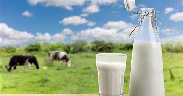 دراسة: الإفراط في تناول حليب الأبقار يسبب 3 أنواع من السرطانات لهذا السبب