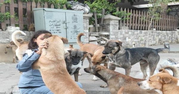 قصة حب «آن» والكلاب بدأت من شوارع شبرا: بأكلها.. واتهددت بالسلاح بسببها (صور)