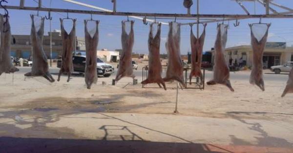 التموين: خفض سعر «اللحمة الضاني» بمناسبة عيد الأضحى إلى 130 جنيها للكيلو