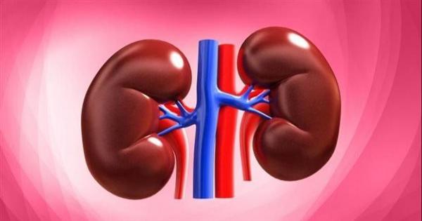 7 عادات في أسلوب الحياة تؤذي الكلى دون علمك