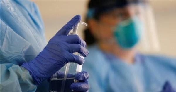 مرض مميت يسبب تلف الدماغ والأعصاب.. ما هو فيروس الحصان الحزين بعد ظهوره في ألمانيا؟