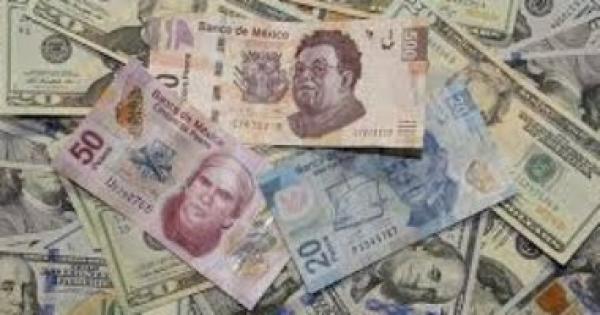 موظف بشركة لحوم فى تشيلى يصرف راتبه مضروبا × 286 ضعفا ويهرب.. فيديو