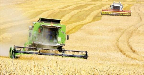 روسيا: إرسال 175 ألف طن قمح إلى مصر أغسطس المقبل