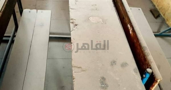 أولياء أمور مدرسة طارق بن زياد بالقاهرة يستغيثون: المكان مهجور والعقارب تزحف بداخله | صور