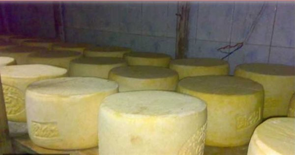 يسبب كوارث صحية.. أخصائي تغذية يحذر من نوع جبن رومي بالأسواق