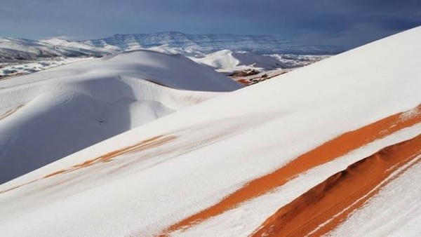 في مشهد نادر.. الثلوج تكسو صحراء الجزائر