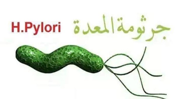 جرثومة المعدة او الدوده الحلزونيه..