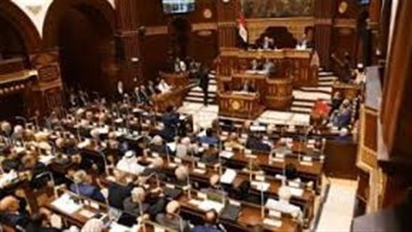 مجلس الشيوخ يرفض رفع الحصانة عن أحد النواب